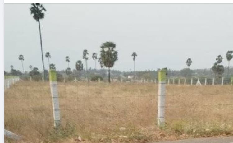 82 cent land for sales