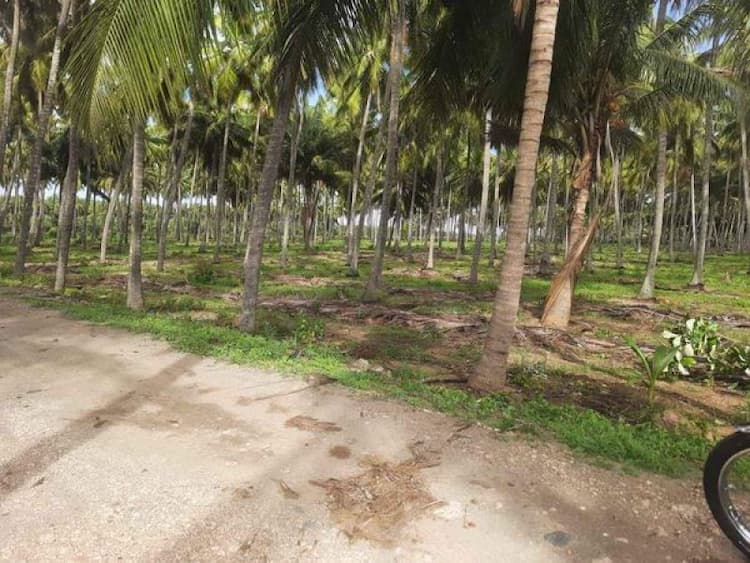 Single Property Image