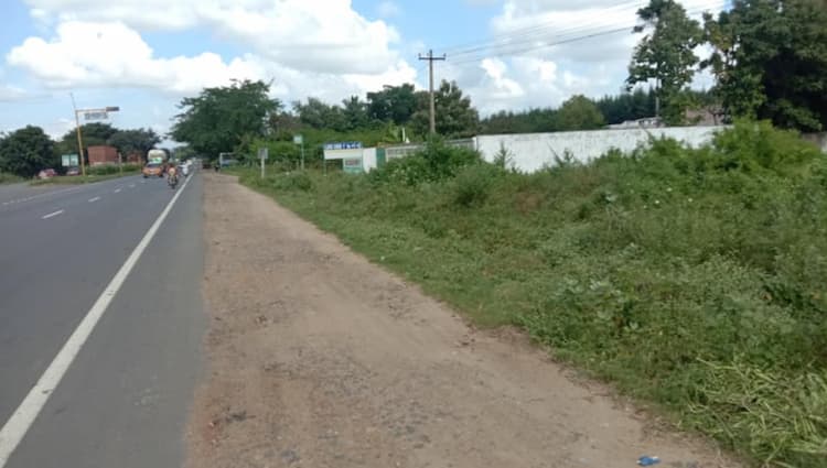 comercial punjai land 1.18 acres for sale