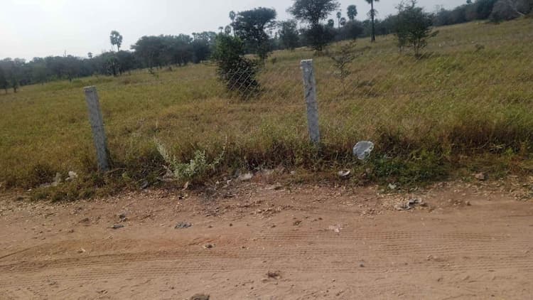 5 Acre Land for Sale