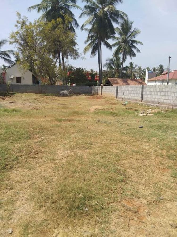 Empty Land For Sale