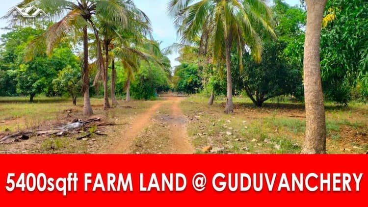 farm land for sale