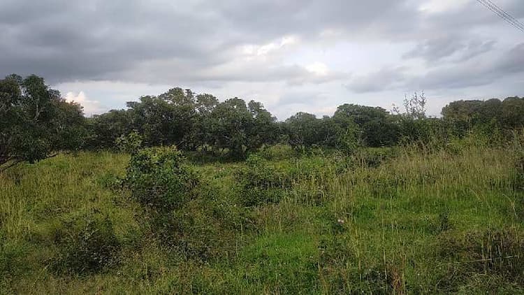 Single Property Image