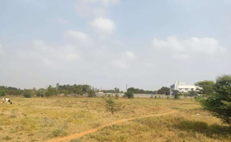 3 Acre Land for Sale