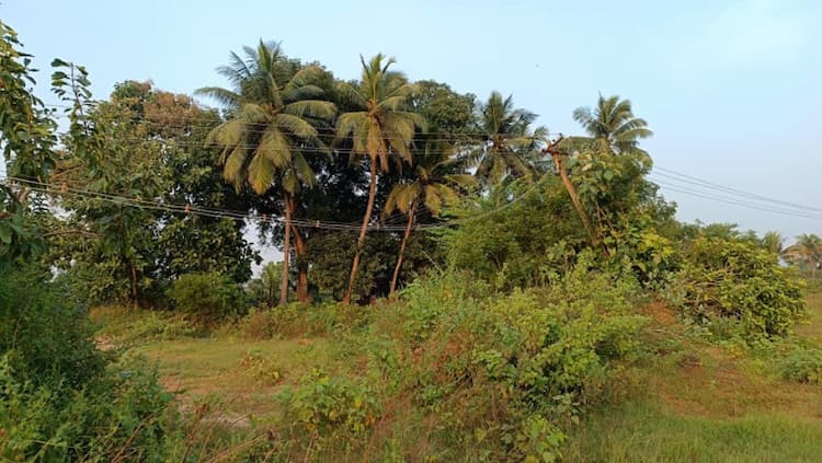 Single Property Image