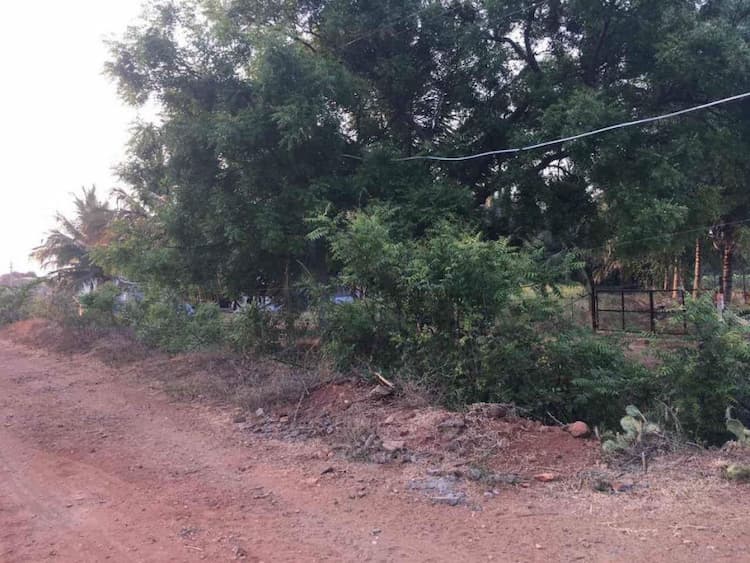 Single Property Image