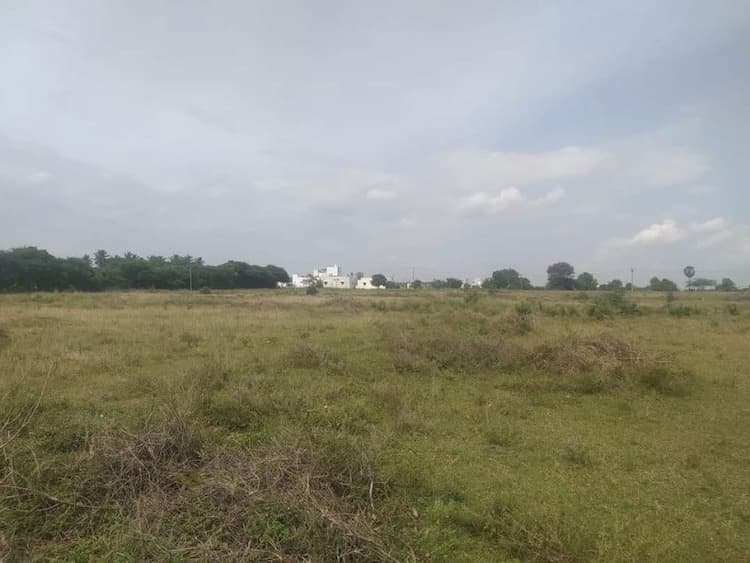 Agri Land for Sale
