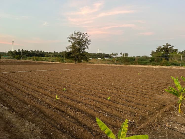 Farm Land for Sale