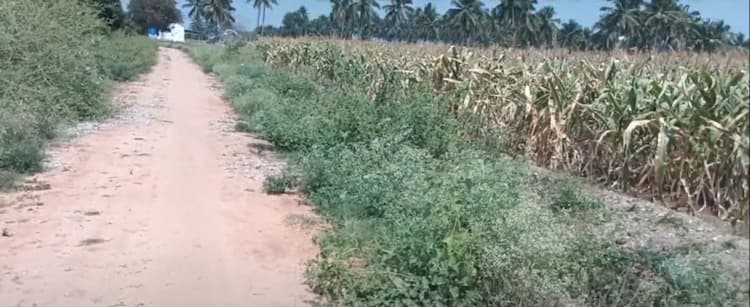 2 Acre Land for Sale