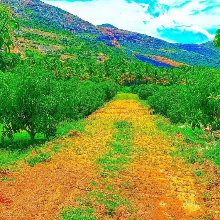 Single Property Image