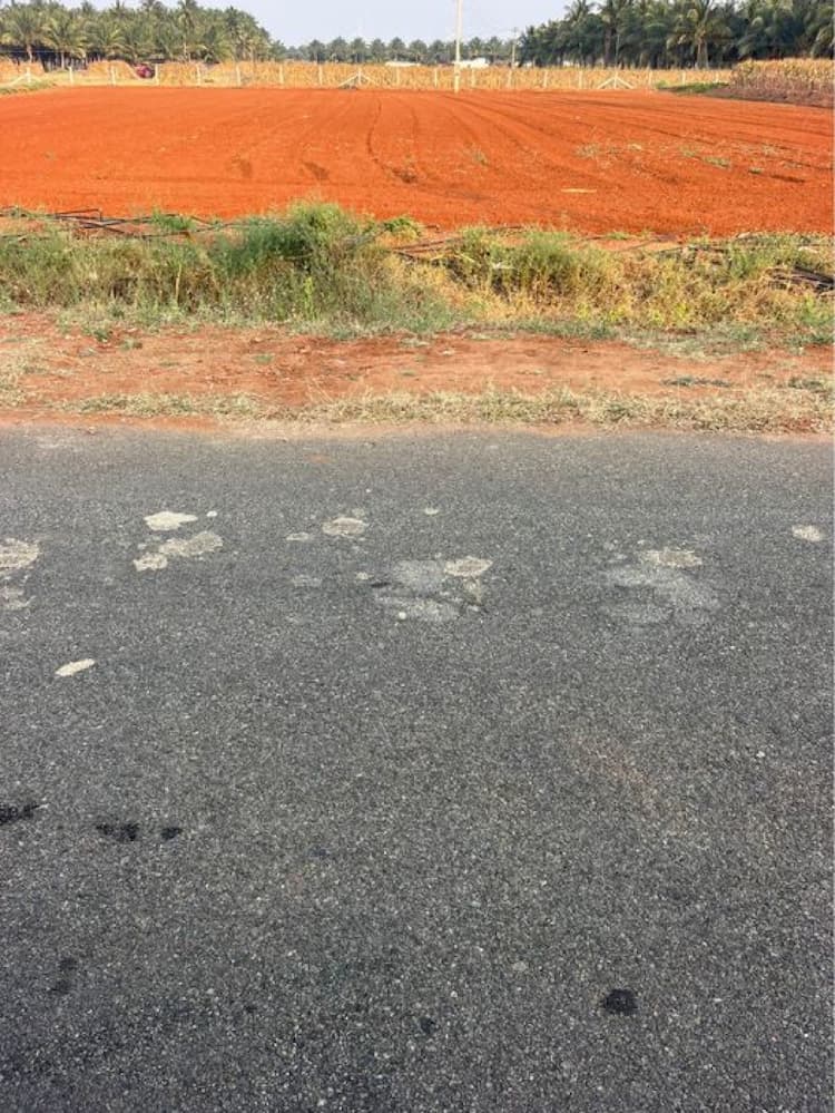 1 acre land for sale