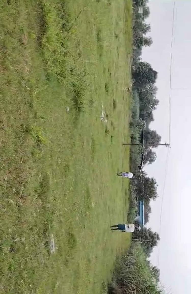 3 Acres Corner Punjai Farm Land for Sale