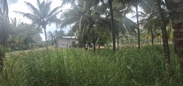 Single Property Image