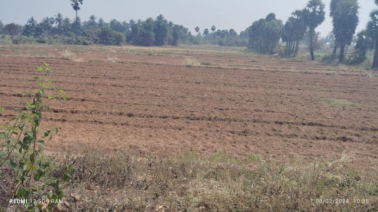 5 Acre land for sales