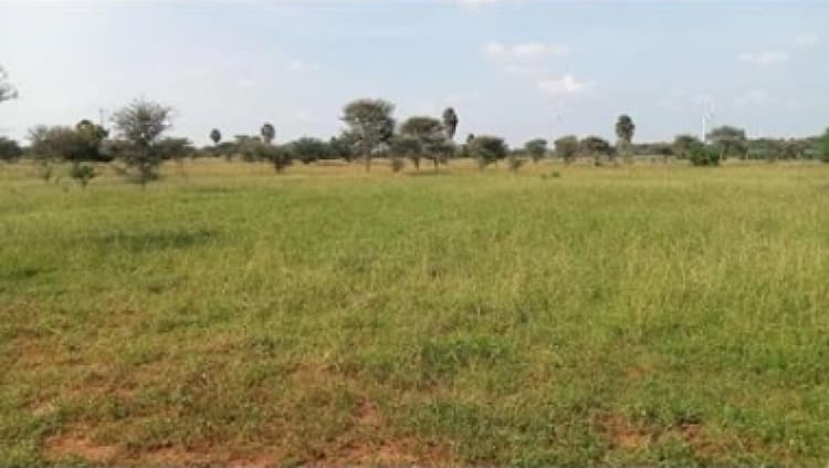 Single Property Image