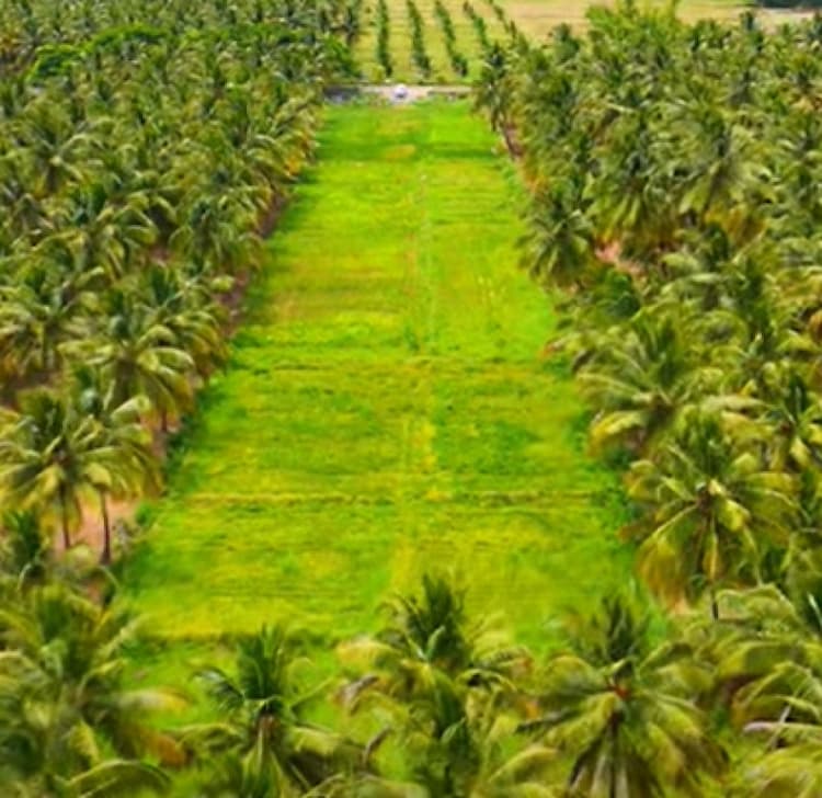 Single Property Image