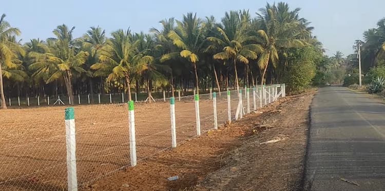 Single Property Image