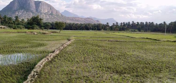 Single Property Image