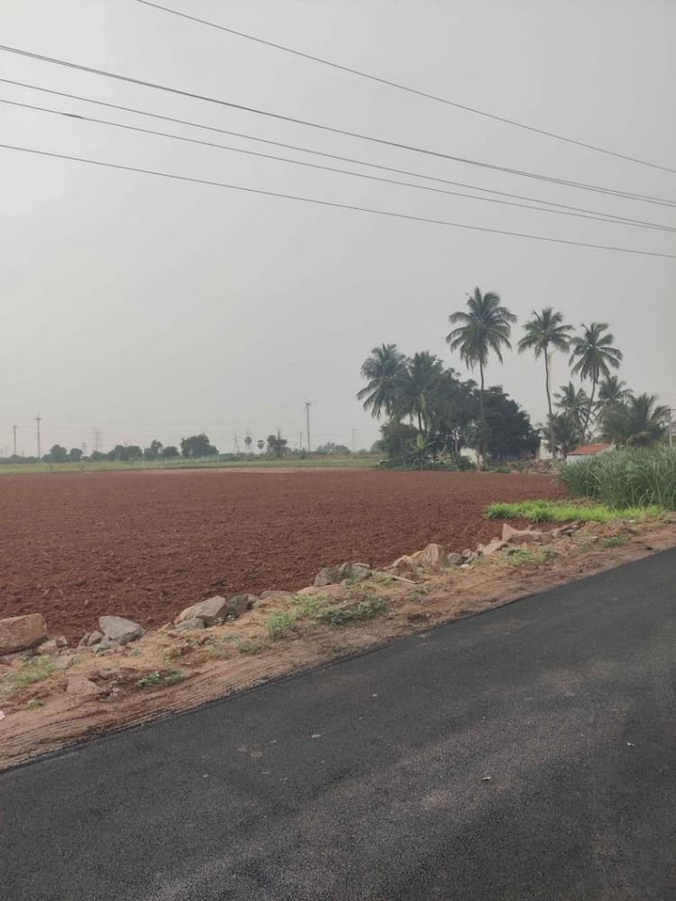 2 Acre Agri Land for Sale