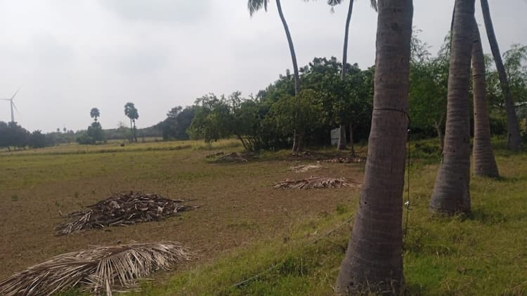4.50 Acre Farm Land for Sale