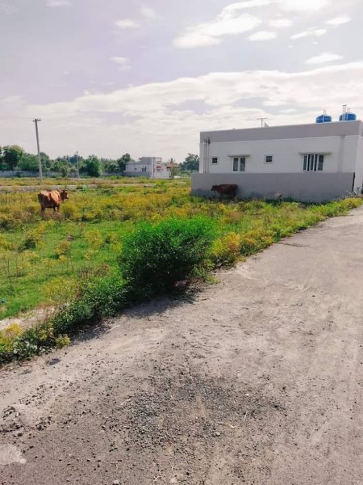 Single Property Image