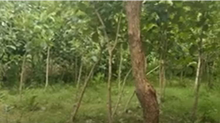 Single Property Image