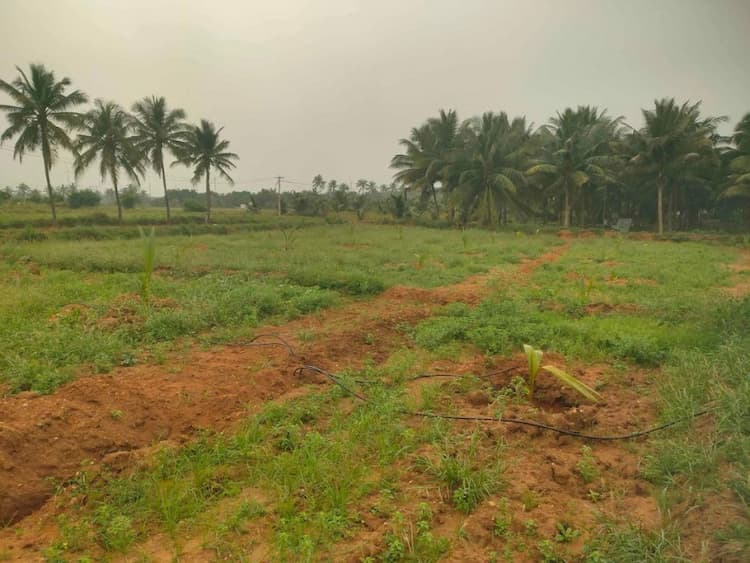 1.25 Acre Land for Sale