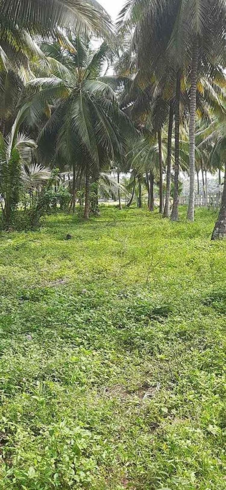 Farm Land For Sale