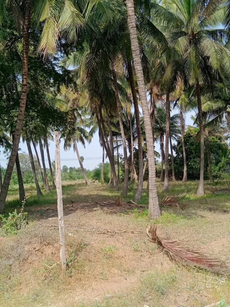 2.25 Acre Land for Sale