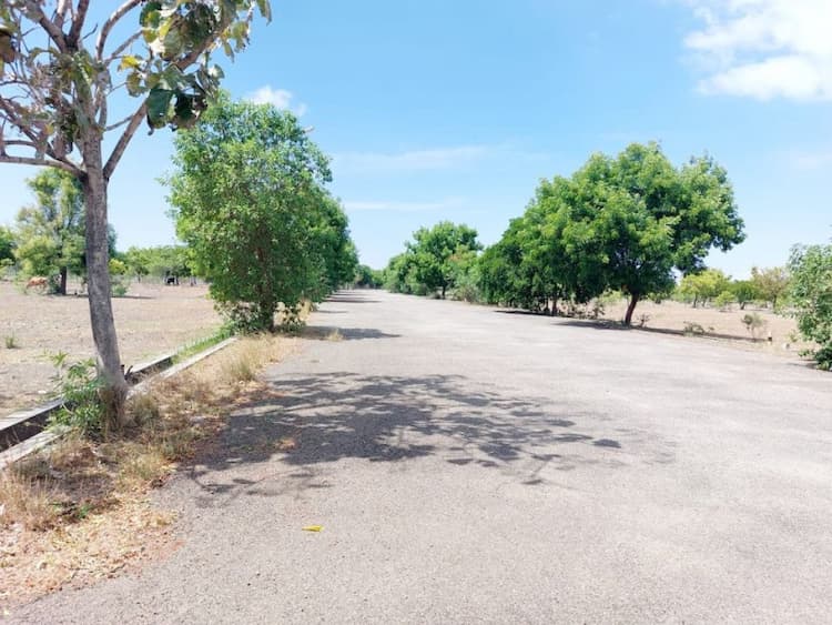 Single Property Image