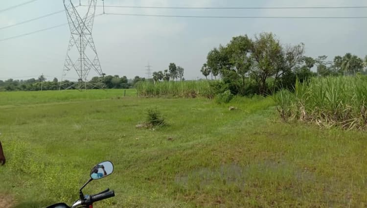 9 Acres punjai land for sale
