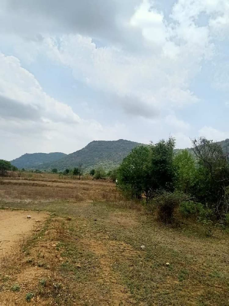 SVR Farms Agricultural Land