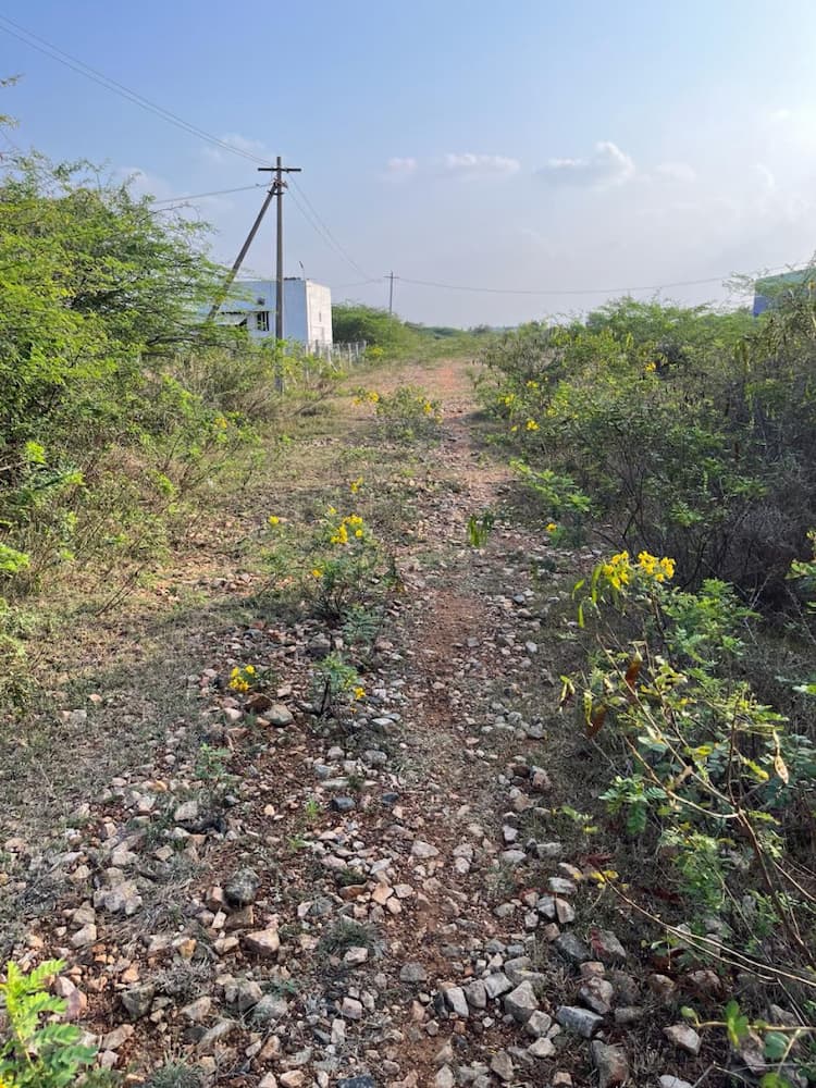 Single Property Image