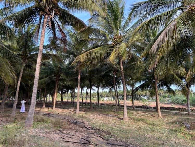 Land with Farm House for Sale