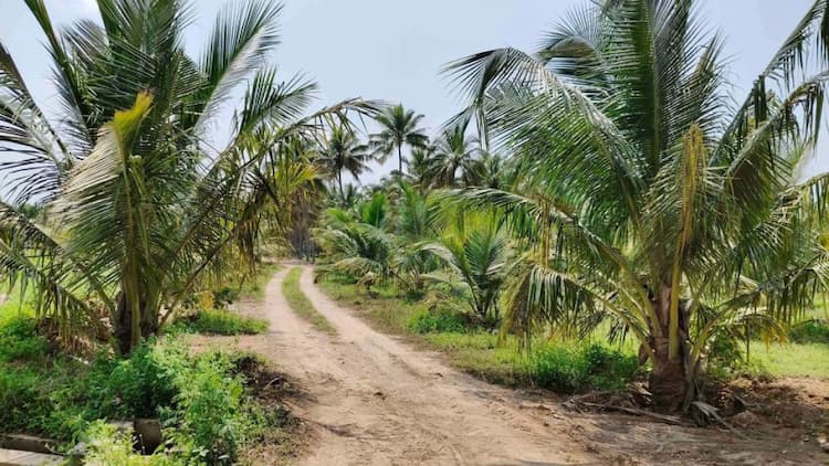 Single Property Image