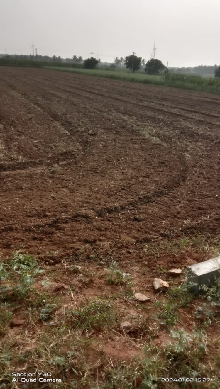 1.85 Acre Farm Land for Sale in Senjeri Puthur