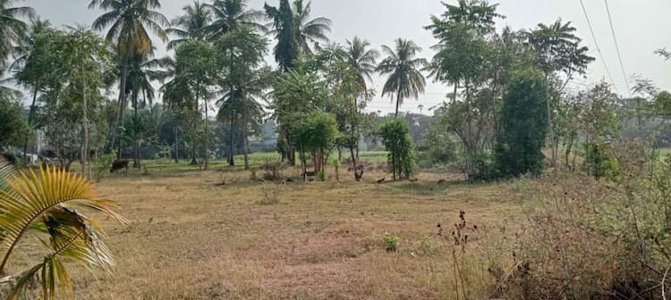 Single Property Image