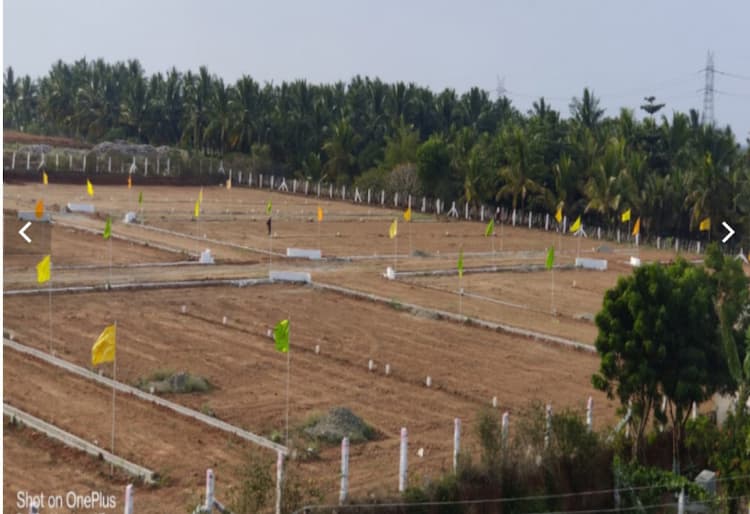2950 Sq.Ft, Land for sale in Kinathukadavu