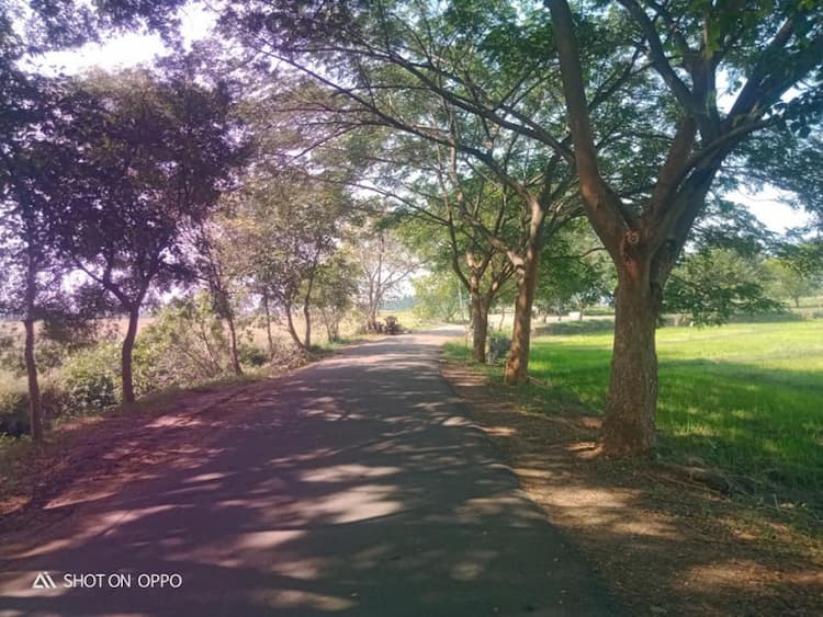 Single Property Image