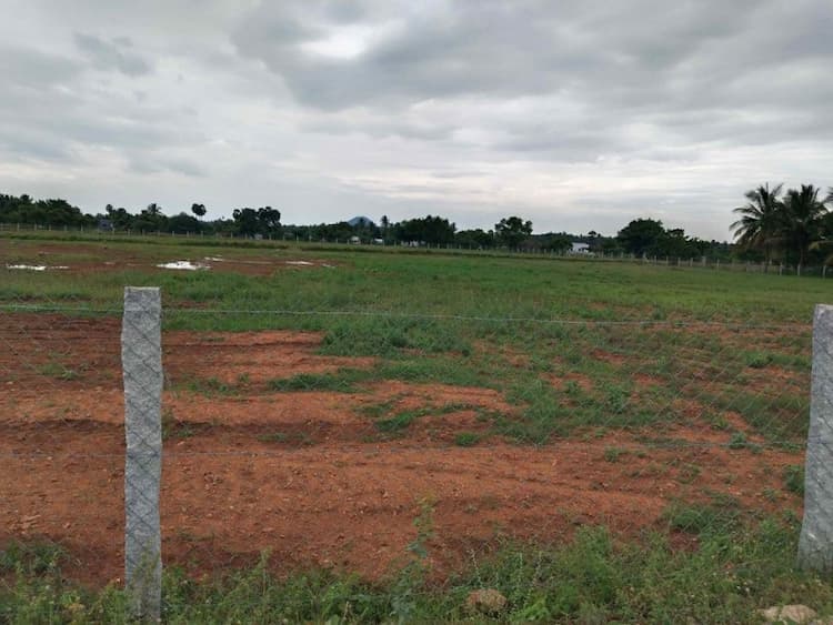 Single Property Image