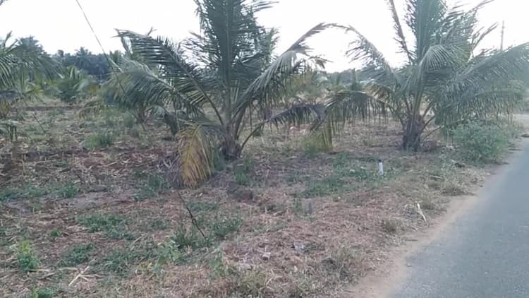 2.25 Acre Land for Sale