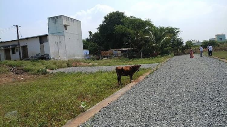 Single Property Image