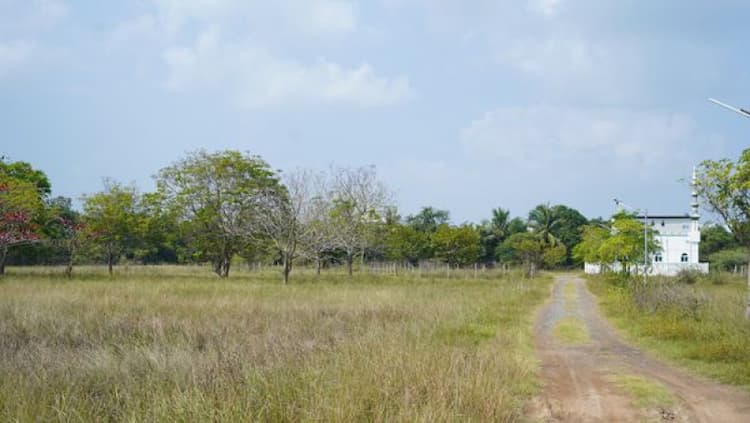 1000 sqft plot for sale