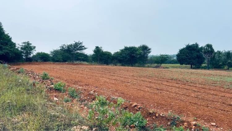 1 Acre land for sales