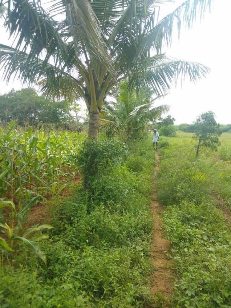 red soil agri land for sale kulithalai