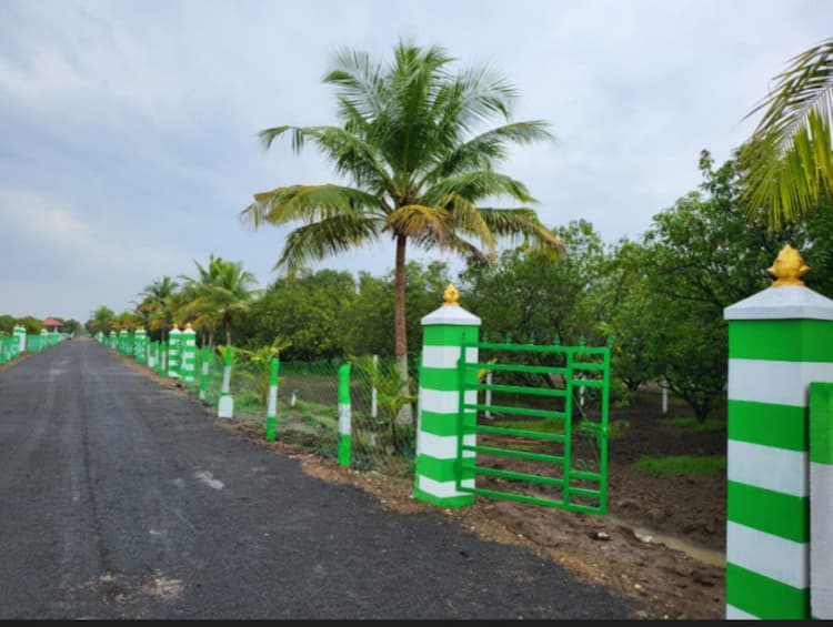 10000 Sq.ft. Agricultural/Farm Land For Sale In Acharapakkam, Chennai