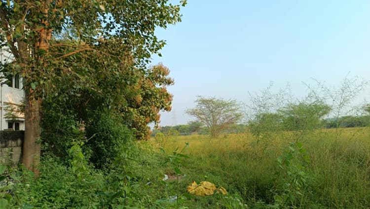 Single Property Image