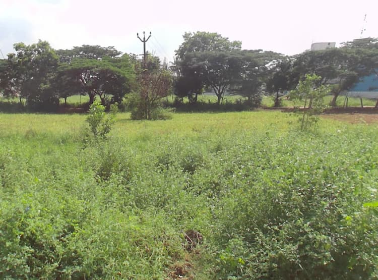 Thudiyalur, Coimbatore, Tamil Nadu