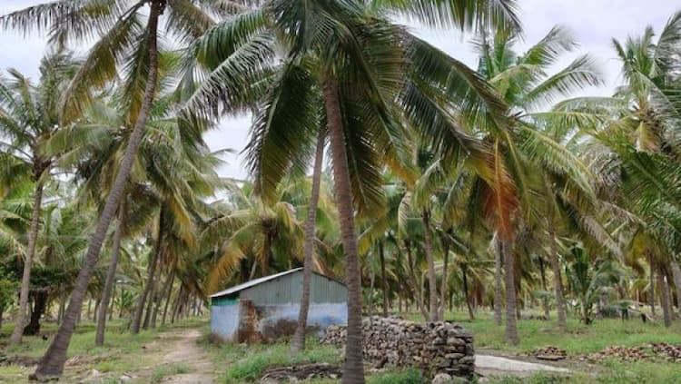 Single Property Image