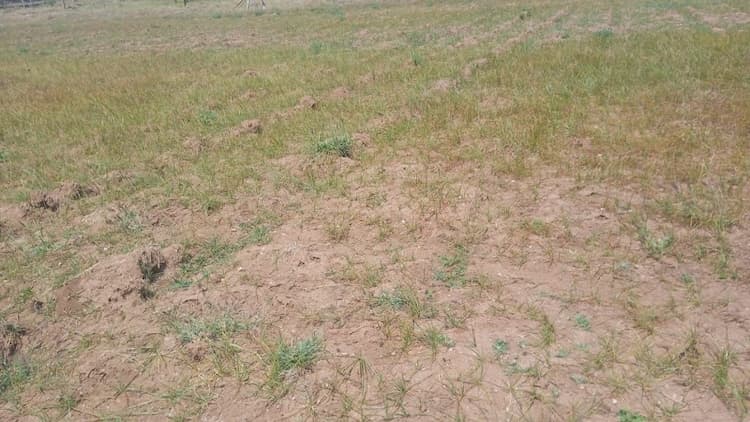 3 Acre Land for Sale